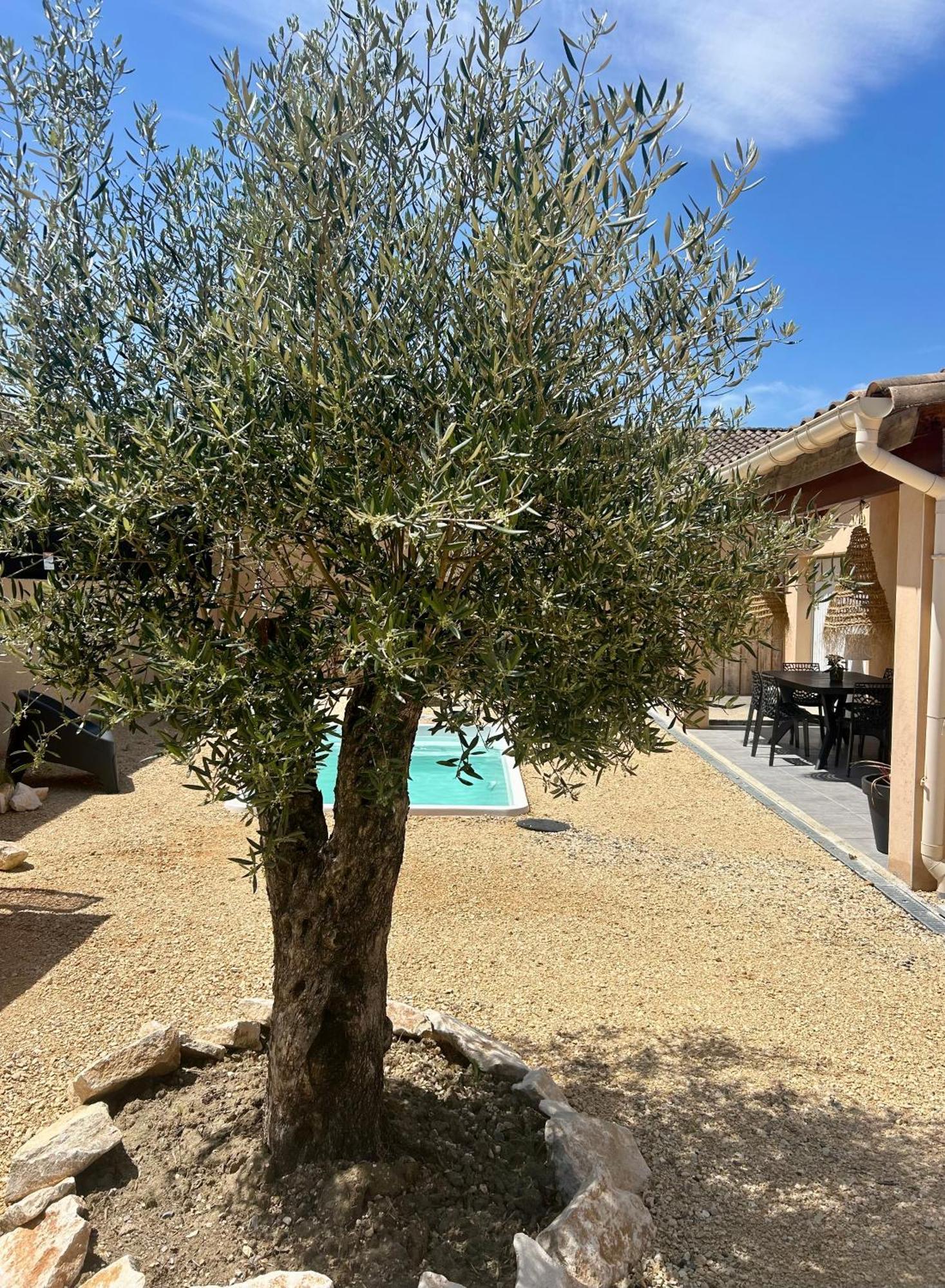 Maison Piscine & Spa Vallon Pont D'Arc 외부 사진